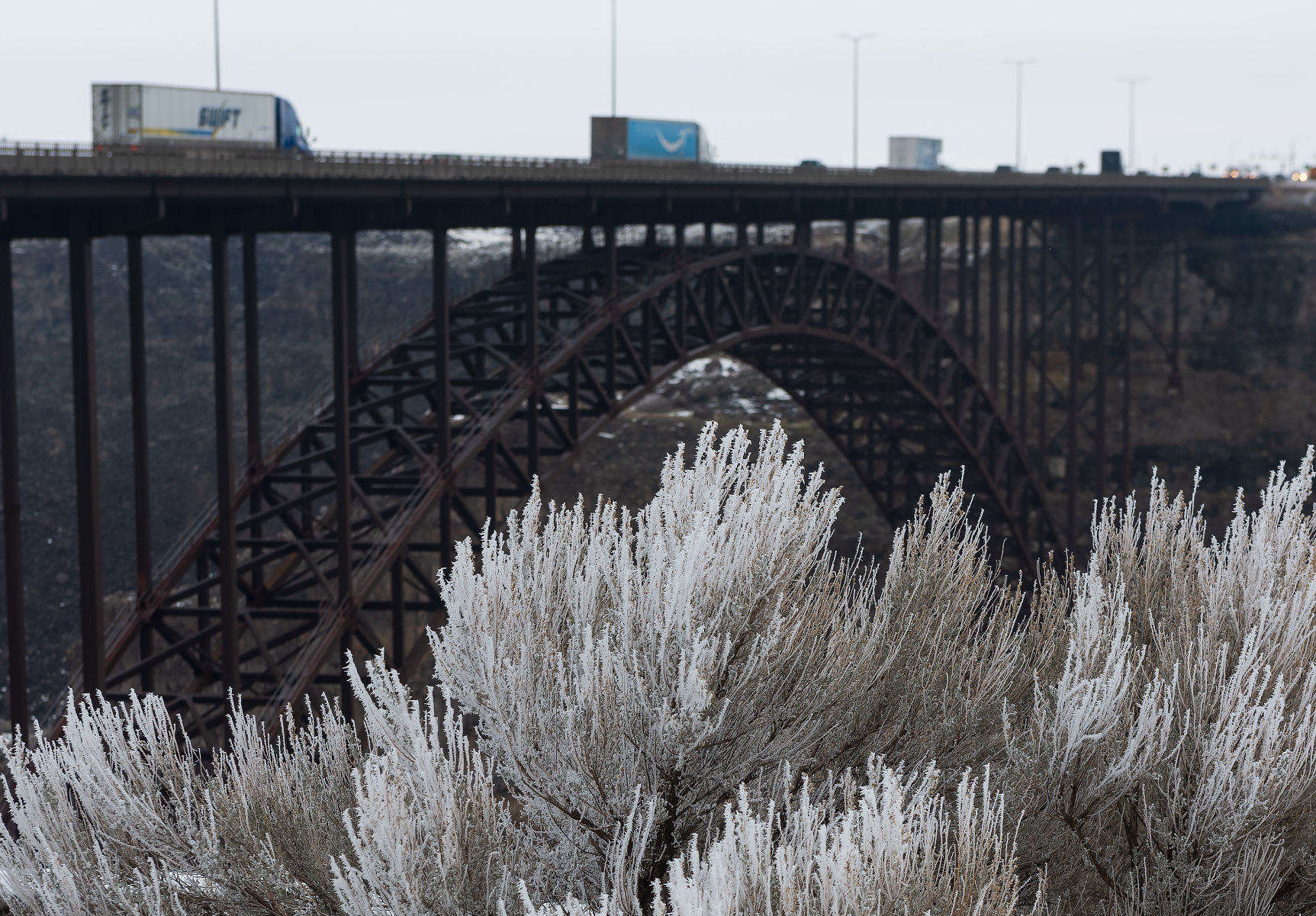 One frosty day